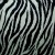 Wild Things - Zebra White
